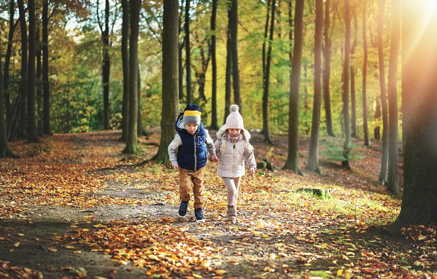 Kinder im Wald