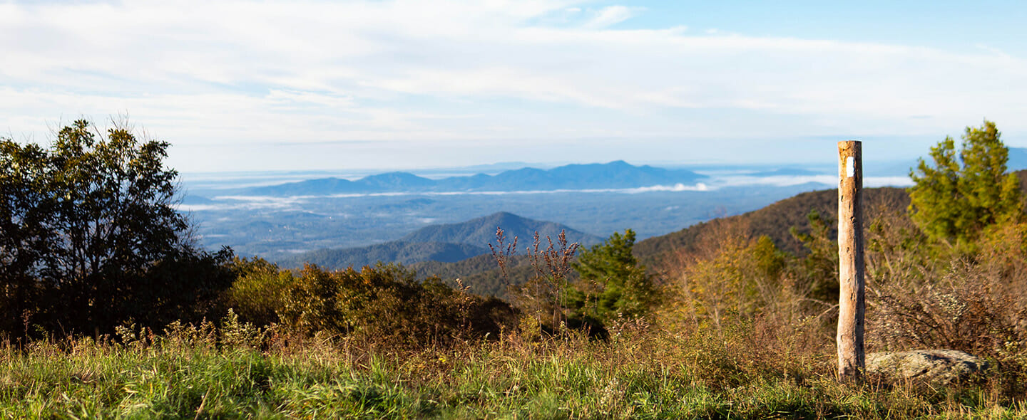 Beautiful view over the appalachian mountains. White blazers mark the trail.